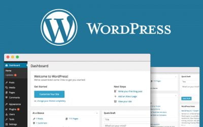 Como acessar a área administrativa do WordPress do seu site
