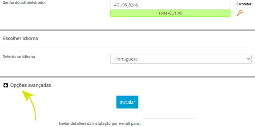 Clique no ícone de + para abrir as Opções Avançadas