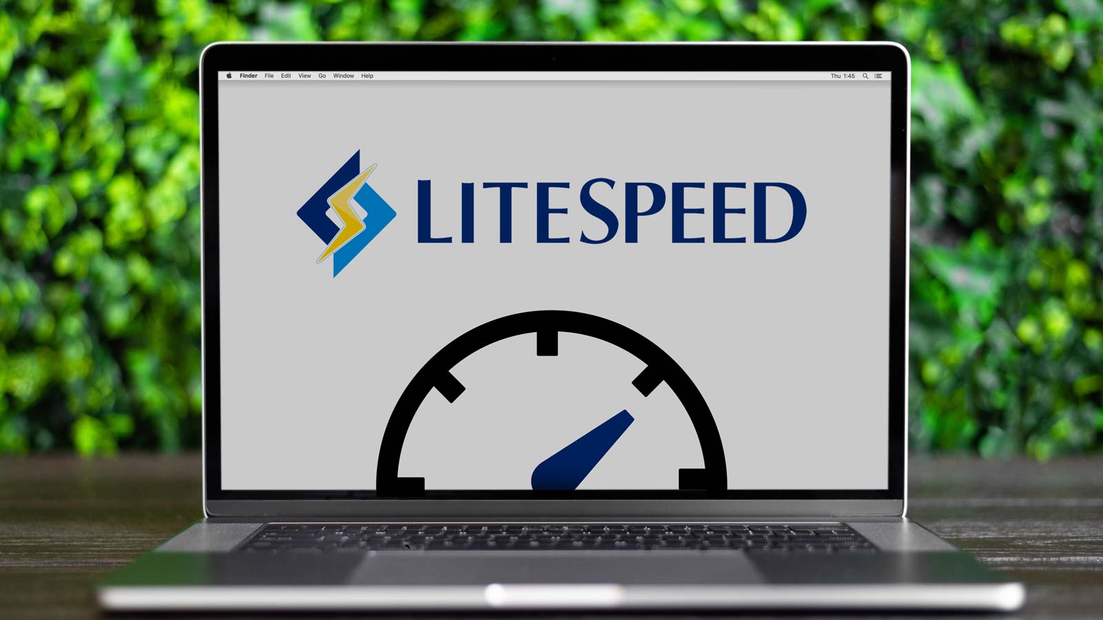 LiteSpeed: melhore o desempenho do seu site WordPress