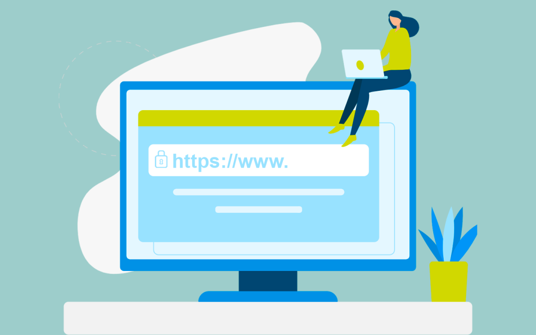 Como apontar um domínio para a Link Nacional?