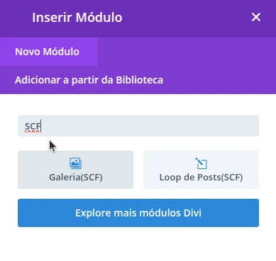 Plugin Extensão para ACF e SCF Modulos ara o DIVI Plugin Extensão para ACF e SCF Modulos ara o DIVI