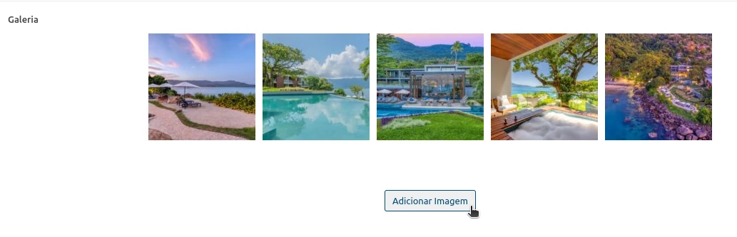 Subir imagens para a Galeria do custom type Subir imagens para a Galeria do custom type