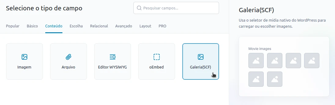 Plugin SCF ou ACF Galeria Plugin SCF ou ACF Galeria
